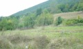Продава ПАРЦЕЛ, с. Рибарица, област Ловеч, снимка 8