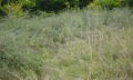 Продава ПАРЦЕЛ, с. Рибарица, област Ловеч, снимка 6