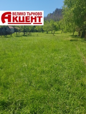 Плот Елена, регион Велико Тарново