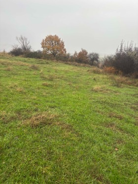 ������� ������ | Imot.bg � ����� ������ 13