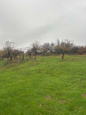 ������� ������ | Imot.bg � ����� ������ 5