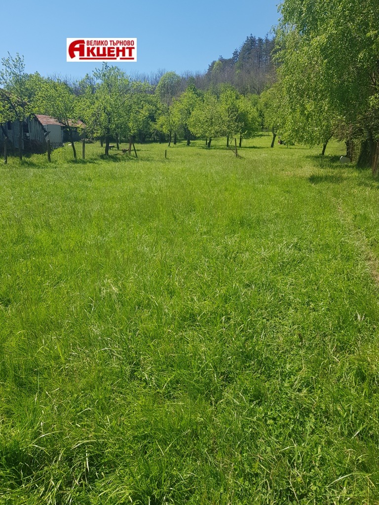Продаја  Плот регион Велико Тарново , Елена , 1075 м2 | 11238947