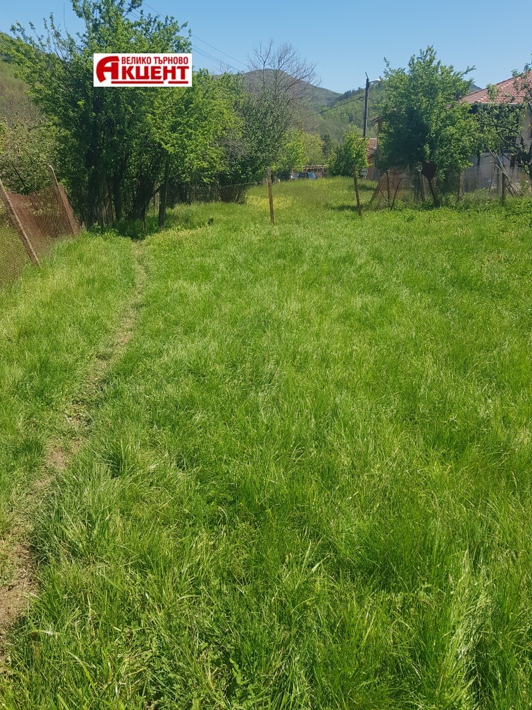 Продаја  Плот регион Велико Тарново , Елена , 1075 м2 | 11238947 - слика [2]