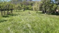 Продава ПАРЦЕЛ, област Велико Търново, гр. Елена • 21000 лв. • 90460976 — Holmes.bg