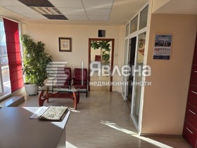 ������ ������� ����