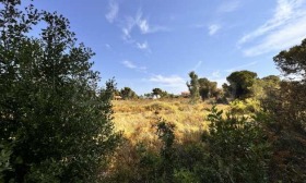 ������� ������ | Imot.bg � ����� ������ 7