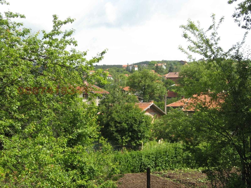 Продава КЪЩА, с. Горни Окол, област София област, снимка 9 - Къщи - 52783346