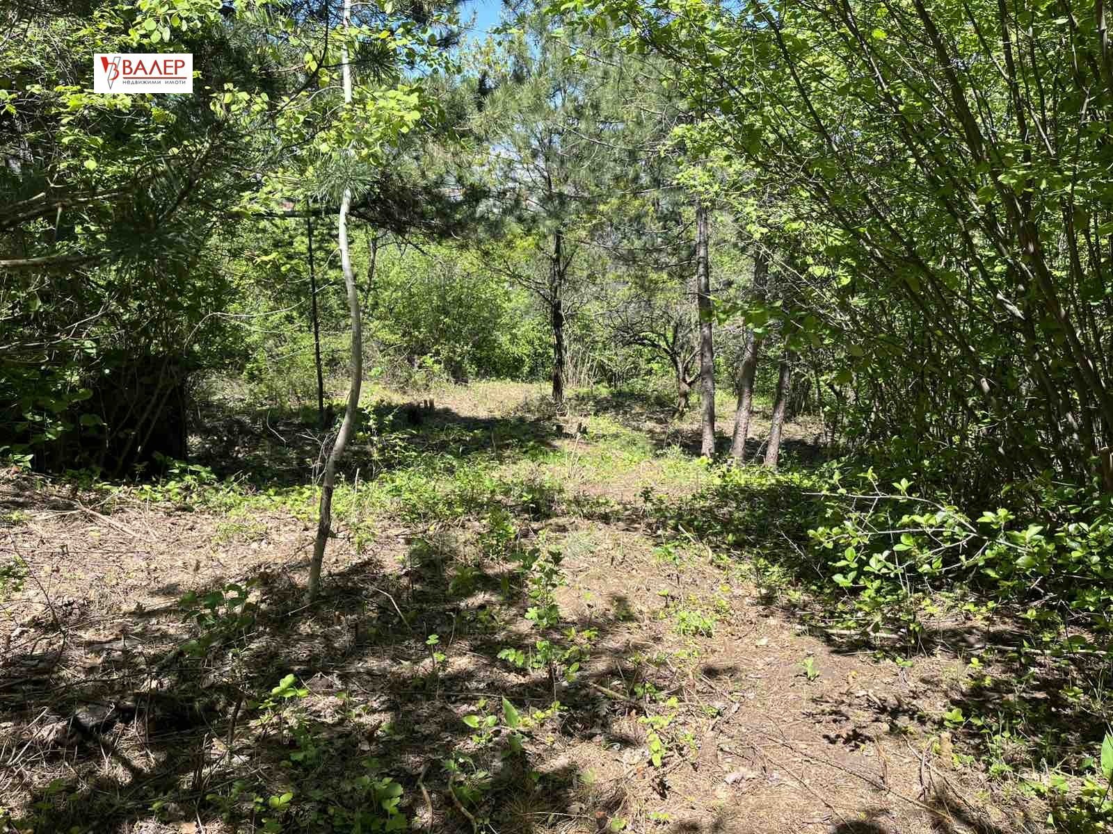 Продава ПАРЦЕЛ, гр. София, с. Герман, снимка 6 - Парцели - 56199639