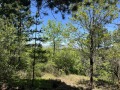 Продава ПАРЦЕЛ, гр. София, с. Герман, снимка 1