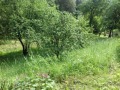 Продава КЪЩА, област Ловеч, с. Велчево • 47000 € / 91924.01 лв. • 12807626 16