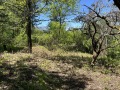 Продава  Парцел град София , с. Герман , 760 кв.м | 29575303 - изображение [5]