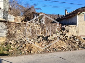 Hus Zlatarica, region Veliko Tarnovo 3