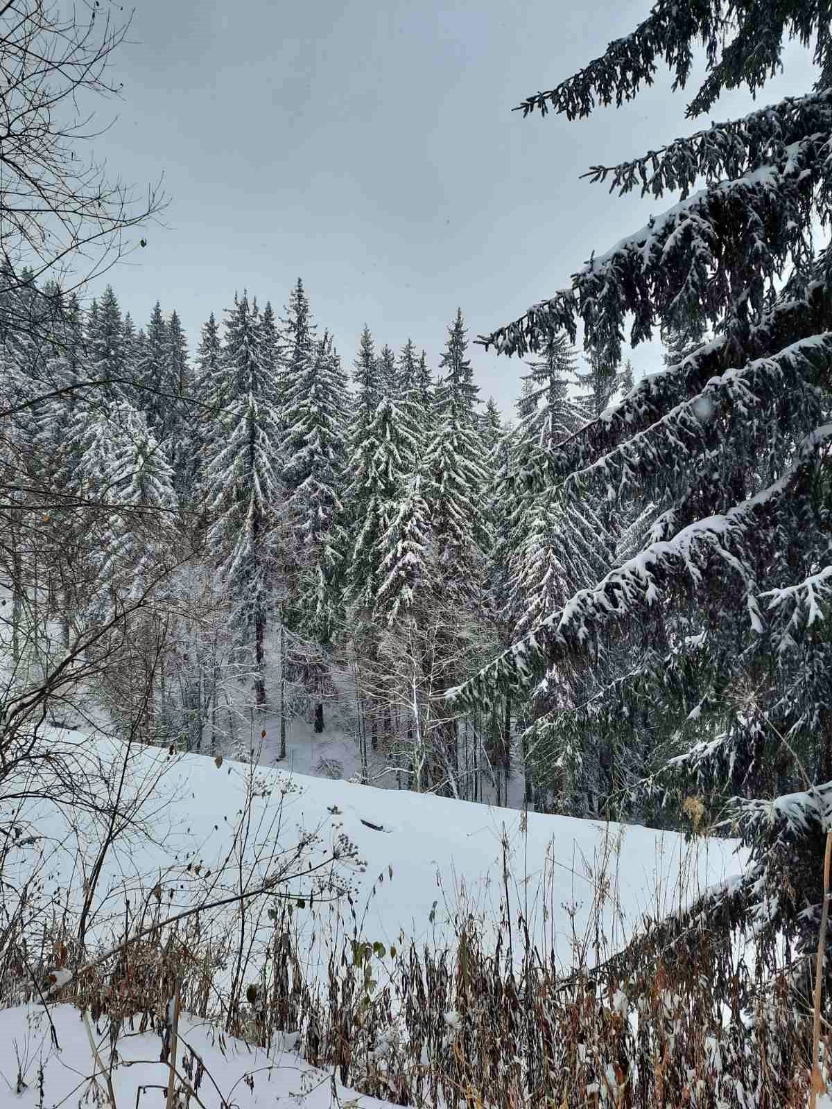 Продава ПАРЦЕЛ, с. Зорница, област Смолян, снимка 2 - Парцели - 54740853