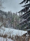 Продава ПАРЦЕЛ, с. Зорница, област Смолян, снимка 2
