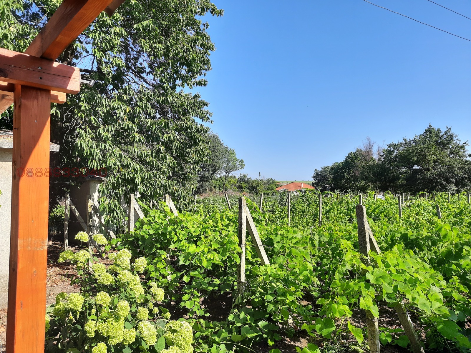 ������� ���� | Imot.bg � ����������� 1