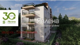 ����� ������� 2-�����,���� �����, �-� �������