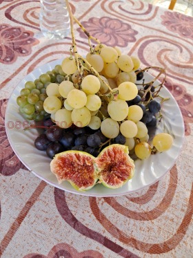 ������� ���� | Imot.bg � ����� ������ 12