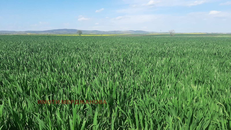 For Sale  Land region Sliven , Novoselets , 6.163 dka | 83674130 - image [3]