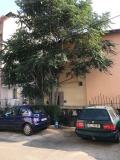 Продава 3-СТАЕН, гр. Свети Влас, област Бургас, снимка 2