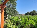 Продава КЪЩА, гр. Шабла, област Добрич, снимка 1