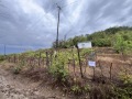 Продава ПАРЦЕЛ, гр. Айтос, област Бургас, снимка 2