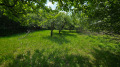 Продава ПАРЦЕЛ, област Перник, с. Кралев дол • 90000 лв. • 87455383 — Holmes.bg