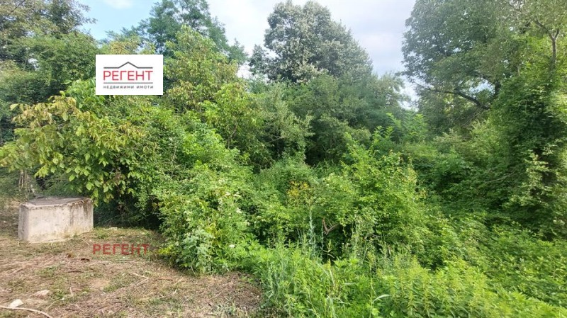 For Sale  Plot region Gabrovo , Dragievtsi , 3205 sq.m | 71063681 - image [8]