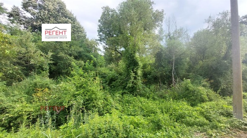 For Sale  Plot region Gabrovo , Dragievtsi , 3205 sq.m | 71063681 - image [7]