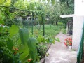 Продава КЪЩА, област Монтана, гр. Берковица • 100000 € • 64921583 — Holmes.bg