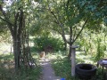 Продава КЪЩА, област Монтана, гр. Берковица • 100000 € • 64921583 — Holmes.bg