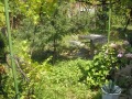 Продава КЪЩА, област Монтана, гр. Берковица • 100000 € • 64921583 — Holmes.bg