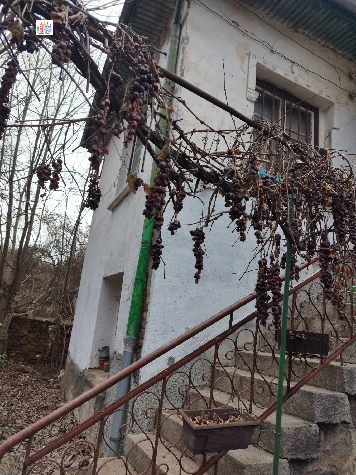 ������� ���� | Imot.bg � ����������� 14