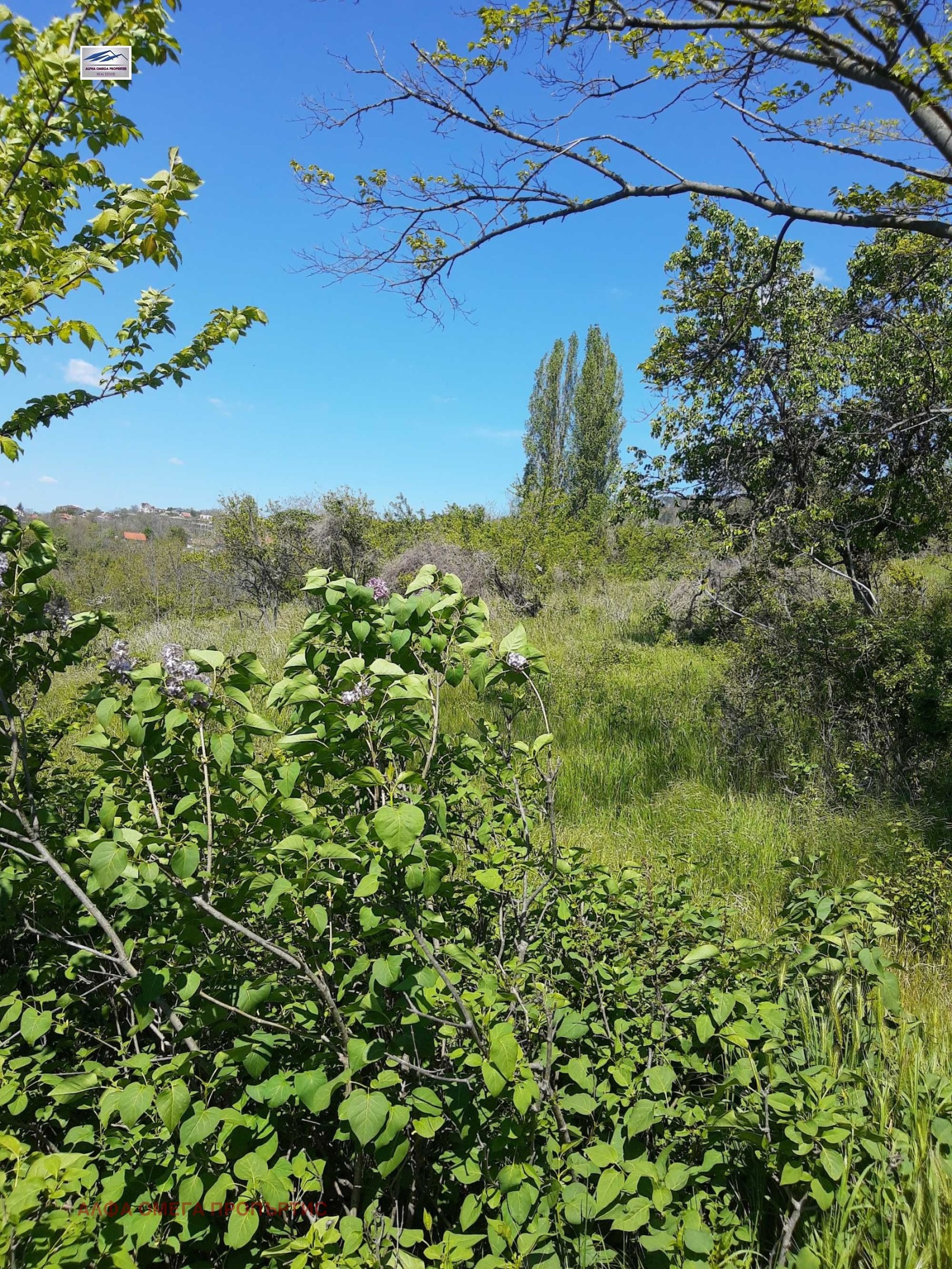 ������� ������ | Imot.bg � ����������� 5