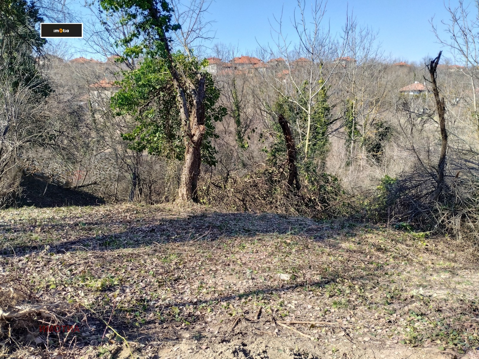 ������� ������ | Imot.bg � ����������� 1