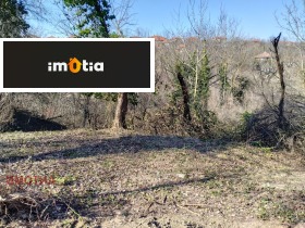 ������ ������� ������