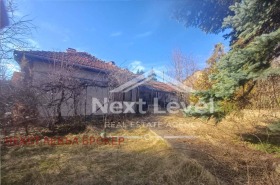 ����� ������� ����,���� ������, ������ �����