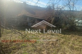 ����� ������� ����,���� ������, ������ �����