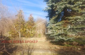 ����� ������� ����,���� ������, ������ �����>