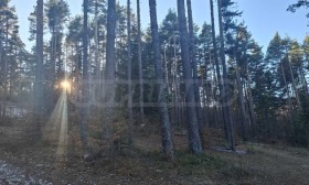 ������� ������ | Imot.bg � ����� ������ 2