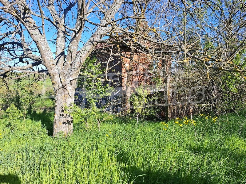 Продава КЪЩА, с. Александрово, област Ямбол, снимка 5 - Къщи - 53042833