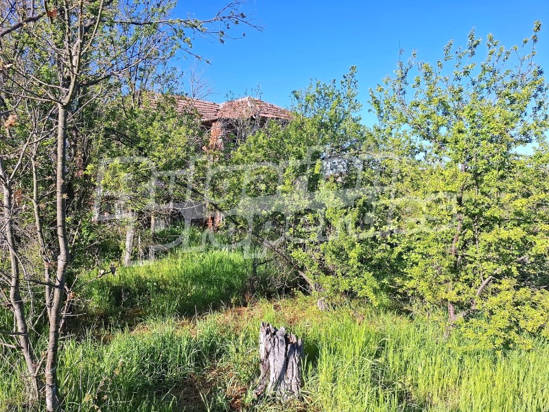 Продава КЪЩА, с. Александрово, област Ямбол, снимка 7 - Къщи - 53042833