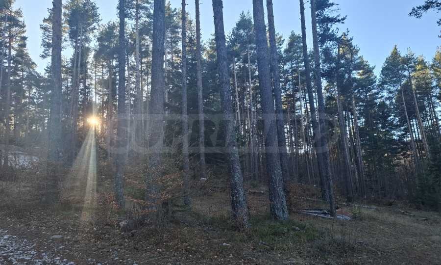 Продава ПАРЦЕЛ, с. Добралък, област Пловдив, снимка 2 - Парцели - 52985345