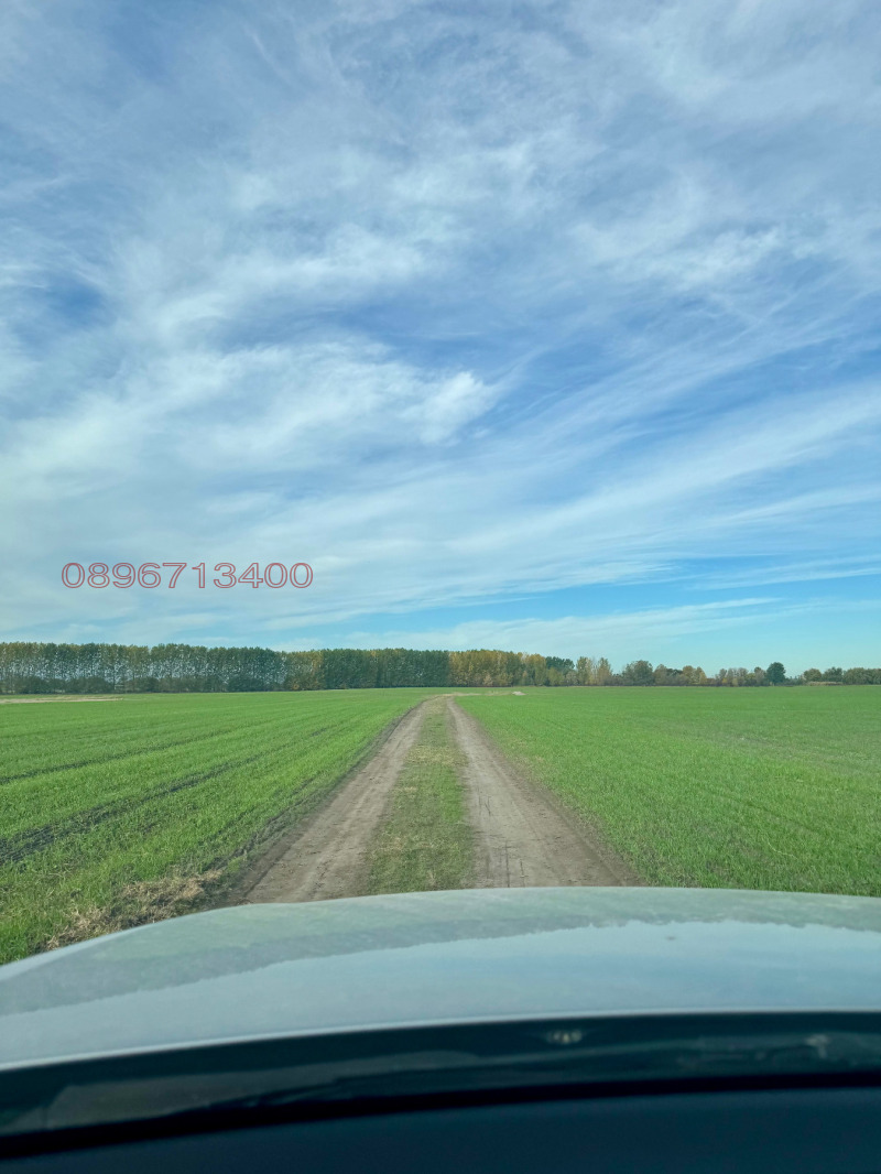 Продава ПАРЦЕЛ, с. Ягодово, област Пловдив, снимка 5 - Парцели - 52781867