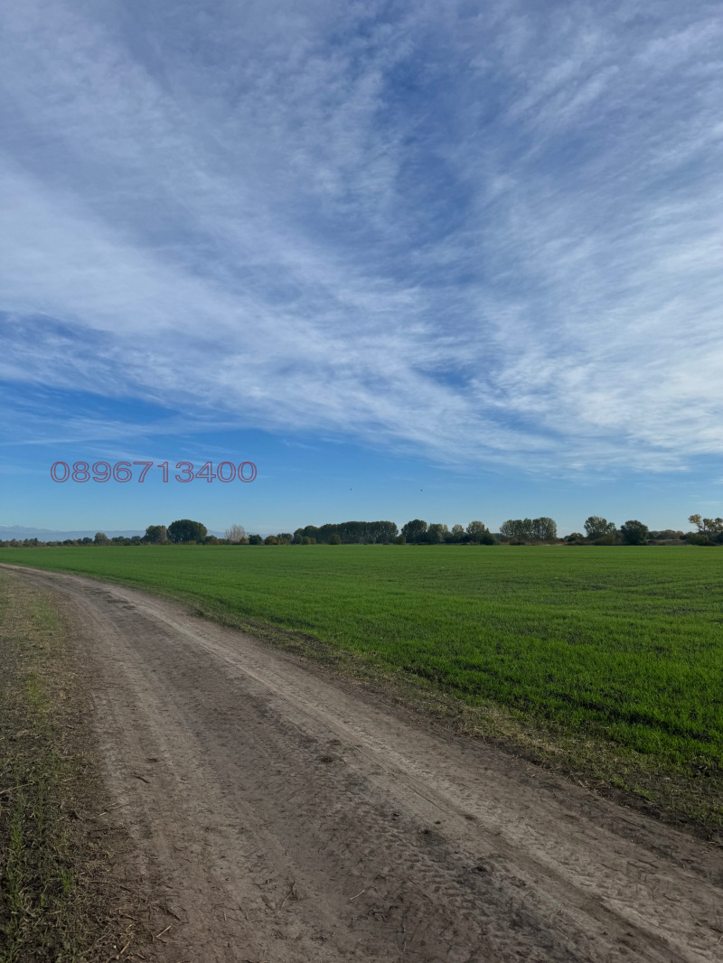 Продава ПАРЦЕЛ, с. Ягодово, област Пловдив, снимка 4 - Парцели - 52781867