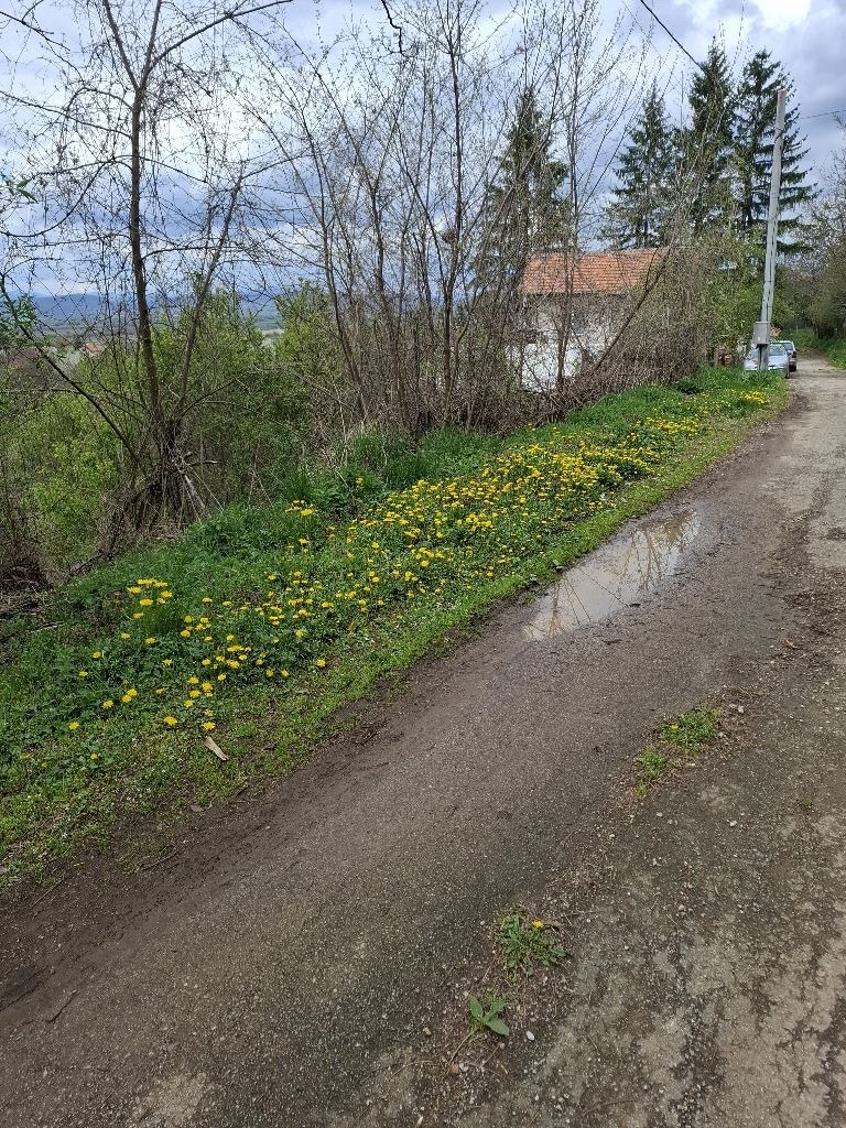 ������� ������ | Imot.bg � ����������� 5