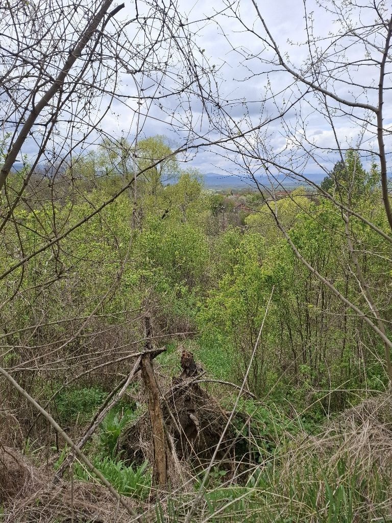 ������� ������ | Imot.bg � ����������� 4