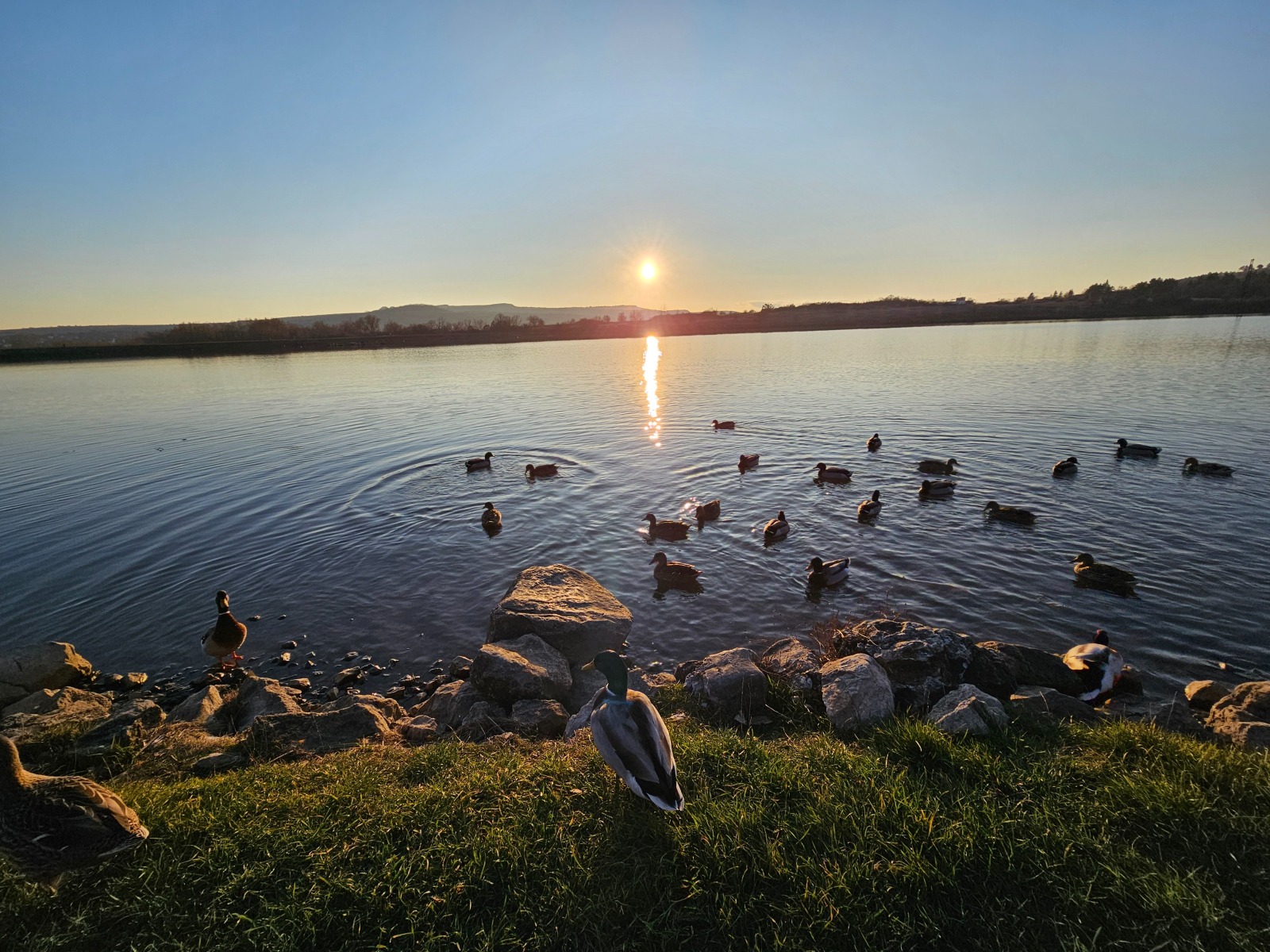 ������� ���� | Imot.bg � ����������� 7