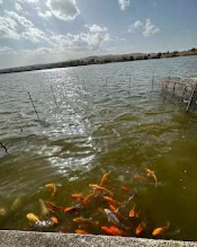 Продава КЪЩА, гр. Костинброд, област София област, снимка 10