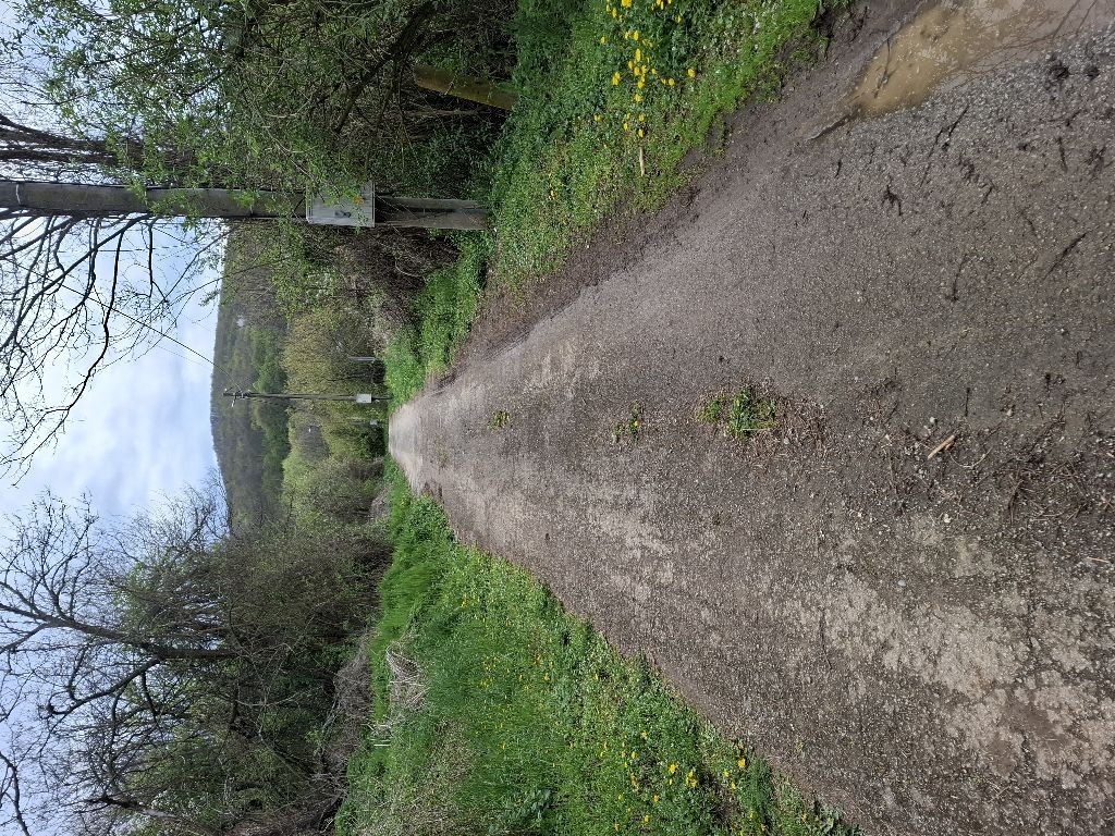 Продава ПАРЦЕЛ, с. Касилаг, област Перник, снимка 2 - Парцели - 54280152