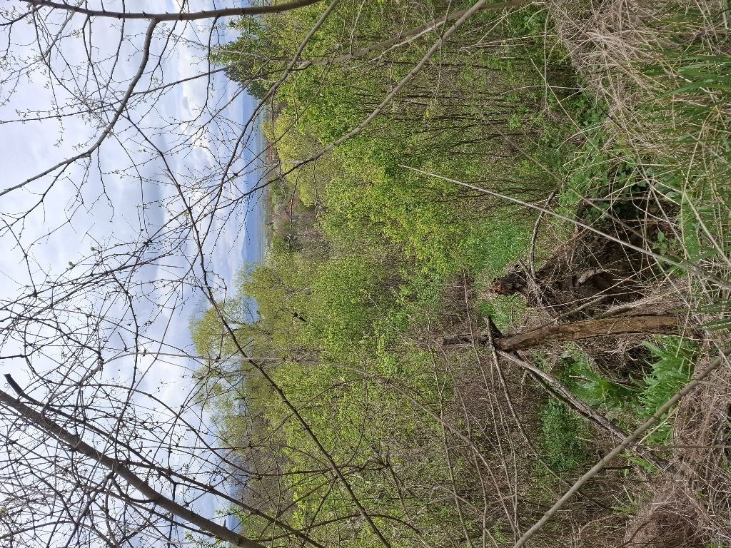 Продава ПАРЦЕЛ, с. Касилаг, област Перник, снимка 4 - Парцели - 54280152